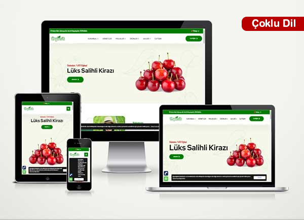 Meyve Sebze Tarım Firma Web Sitesi Paketi Land